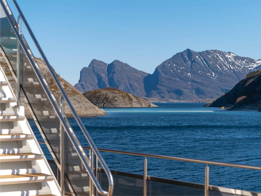 Bodø: Beiar Fjord & Saltstraument Cruise - Key Points