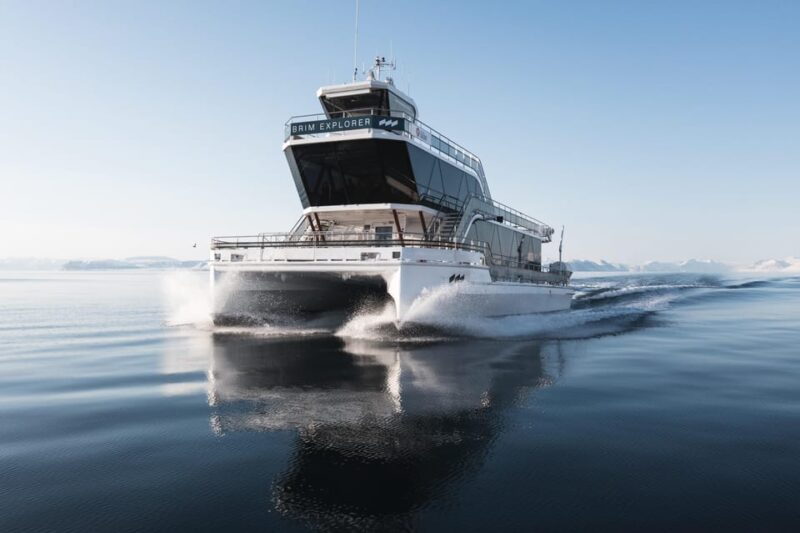 Bodø: Northern Lights Cruise - Tour Details