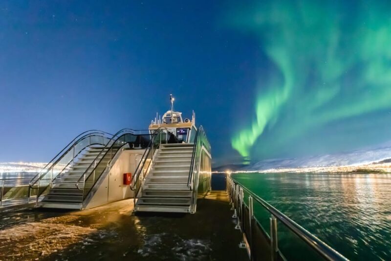 Bodø: Northern Lights Cruise - Cruise Features