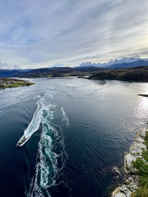 Bodø: Saltstraumen RIB Safari - Key Points