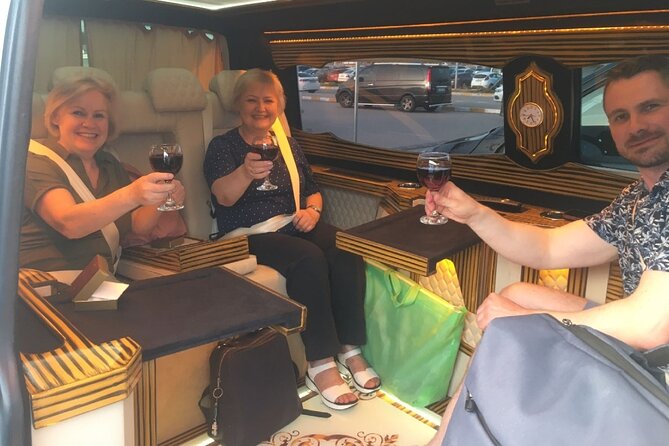 Bodrum Airport Luxury Private Minivan By Meet Transfer - Accessibility