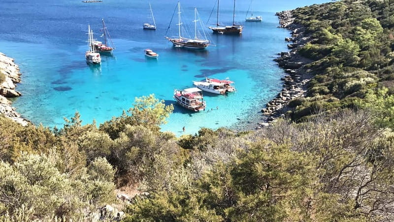 Bodrum: Boat Tour for Mein Schiff Cruise Passengers - What Travelers Say