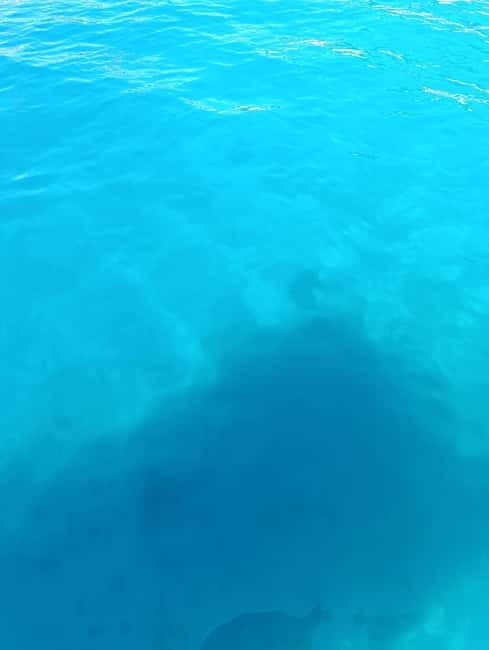 Bodrum boat trip starting from Gümbet beach - Frequently Asked Questions
