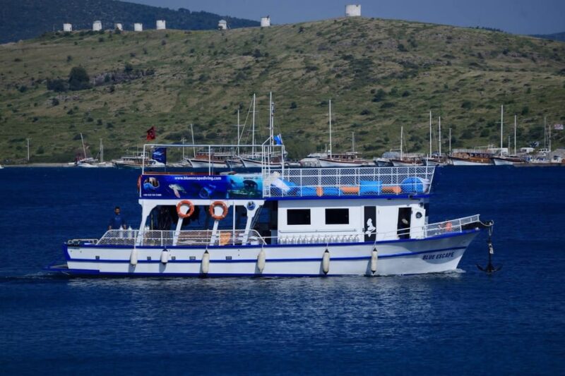 Bodrum Diving Day for Advanced and Beginner Divers - Experience for Advanced Divers