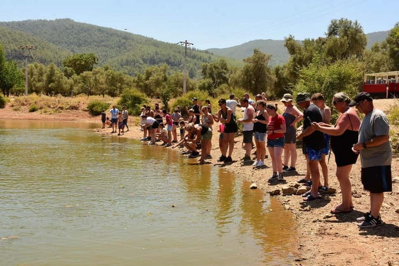 Bodrum: Full-Day Jeep Safari with Lunch and Hotel Transfer - The Experience: What Travelers Are Saying