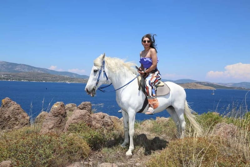 Bodrum Horse Riding Adventure - Key Points