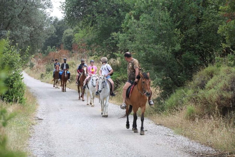 Bodrum Horse Riding Adventure - Who Should Consider This Tour?