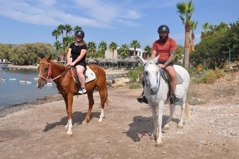 Bodrum Horse Riding Adventure - Final Thoughts