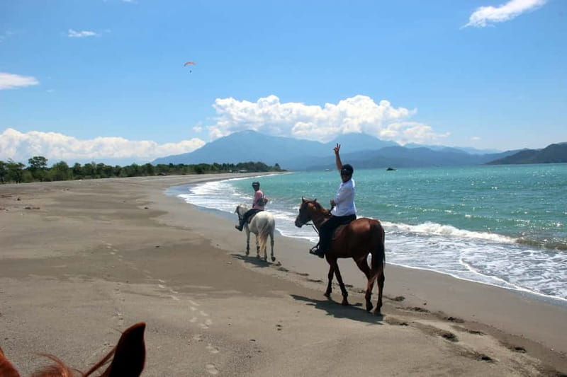 Bodrum: Horseback Riding Experience with Hotel Transfer - Key Points