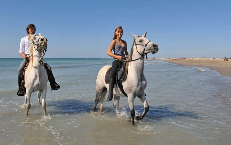 Bodrum: Horseback Riding Experience with Hotel Transfer - Who Will Love This Tour?