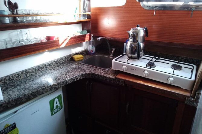 Bodrum Islands Cruise with Lunch , Private Yacht - Discovering the Bodrum Islands Sea