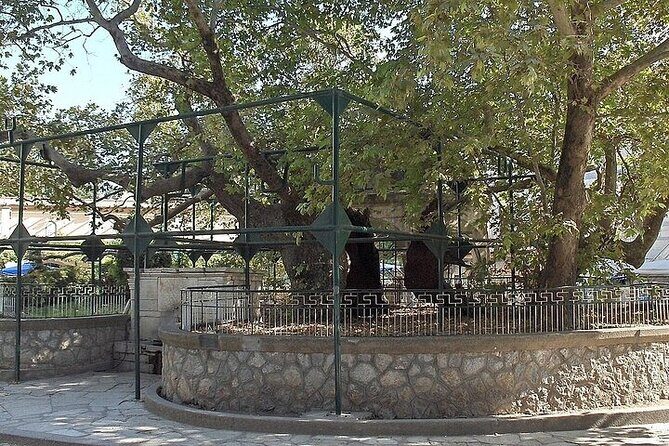 Bodrum Kos Same Day Return Ferryboat Ticket from the castle port - The Sum Up