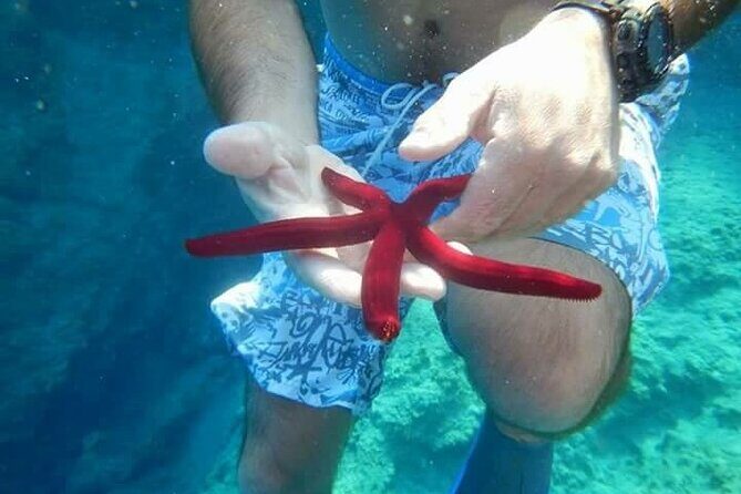 Bodrum Private Gulet Cruise with a Mediterranean Lunch - The Sum Up: Why This Tour Is a Smart Choice