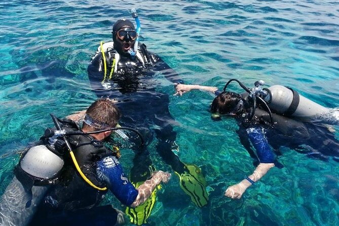 Bodrum Scuba Diving Tour With Free Hotel Transfer By Locals - Meeting and Pickup