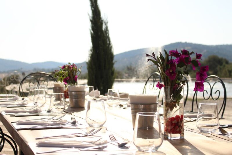 Bodrum Vineyard Tour With Dinner and Wine Pairing - Highlights of the Experience