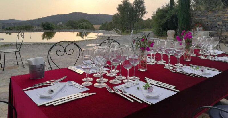 Bodrum Vineyard Tour With Dinner and Wine Pairing - Explore the Vineyard