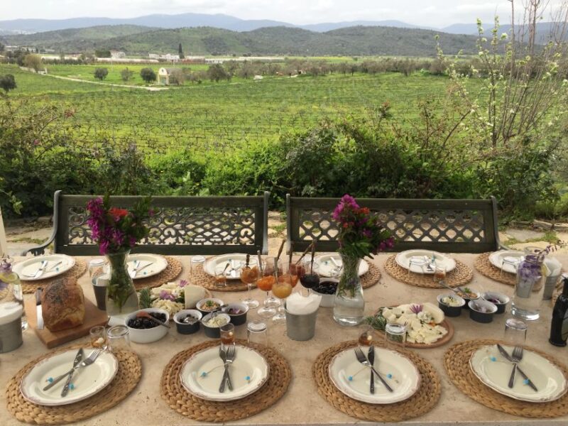 Bodrum Vineyard Tour With Dinner and Wine Pairing - Booking Your Tour