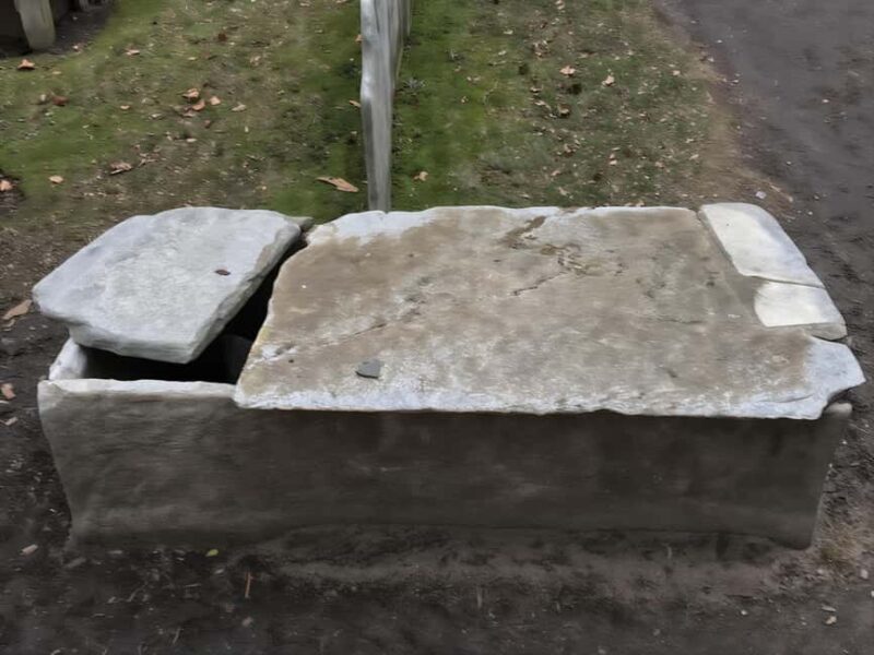 Body Snatchers of New York - Key Points