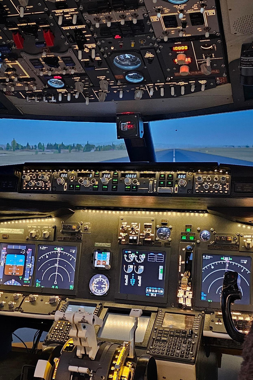 Boeing B737 Flight Simulator Frankfurt Airport - Customer Reviews