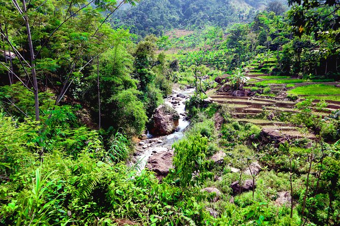 Bogor Botanical Garden, Waterfall, Mountain Springs & Rice Field - Bogor Botanical Garden