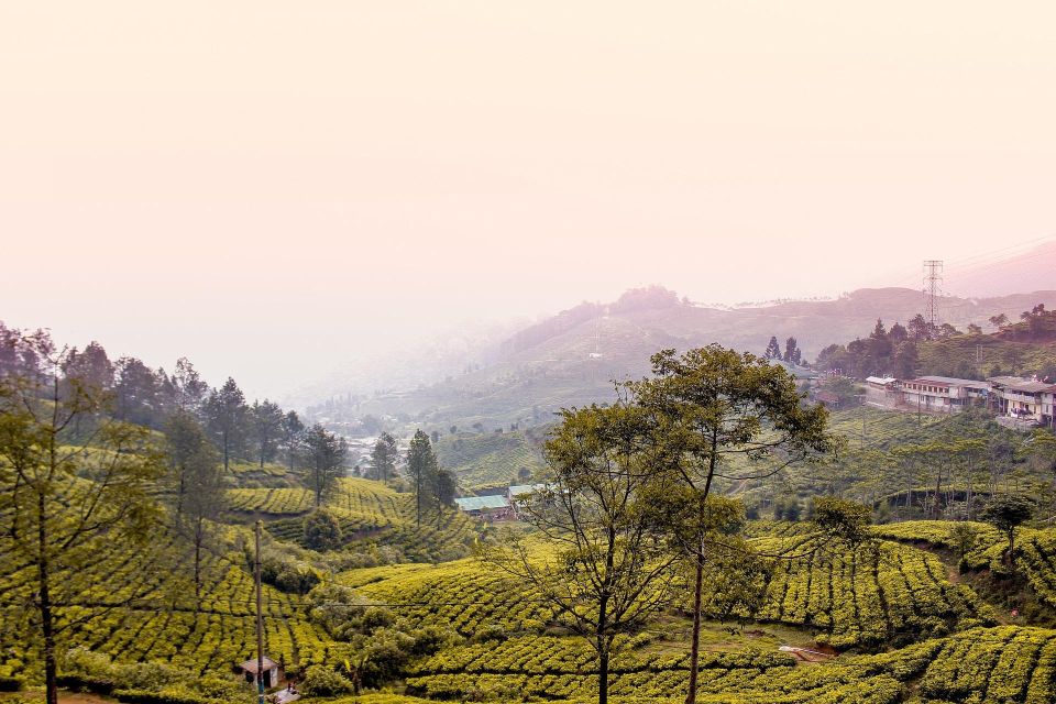 Bogor: Private Car Charter With Driver in Group by Van - Customization Opportunities