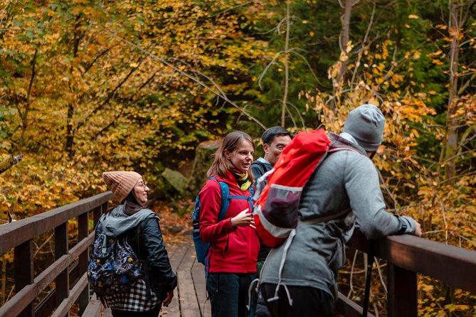 Bohemian and Saxon Switzerland National Park Day Trip From Prague - Best Reviews - Traveler Reviews