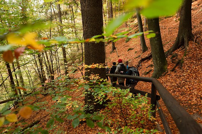 Bohemian and Saxon Switzerland National Park Day Trip From Prague - Best Reviews - Recap