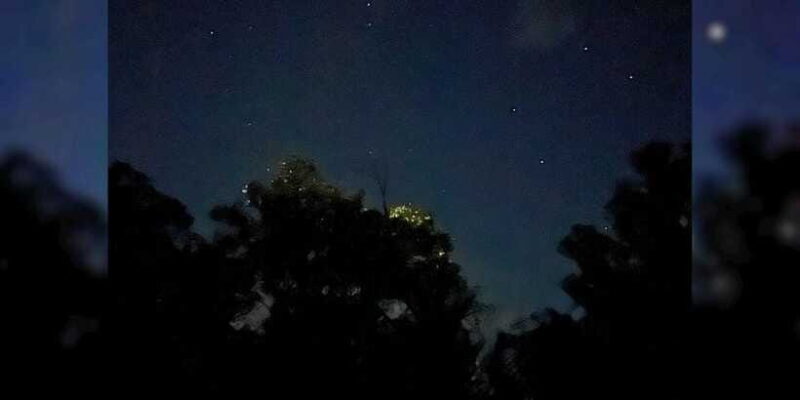 Bohol: Abatan River Firefly Watching Private Tour - Practical Tips for Travelers