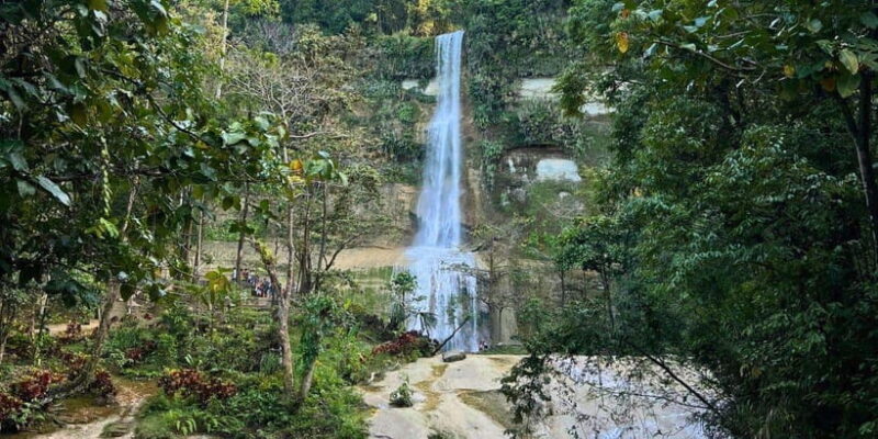 Bohol: Anda-Candijay with Alicia Panoramic Park Private Tour - Why This Tour Offers Great Value