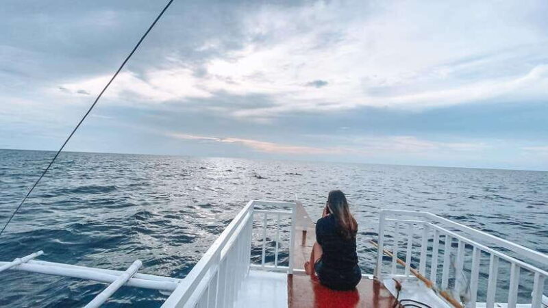 Bohol Balicasag Is Private Tour and Dolphin Watching - Key Points