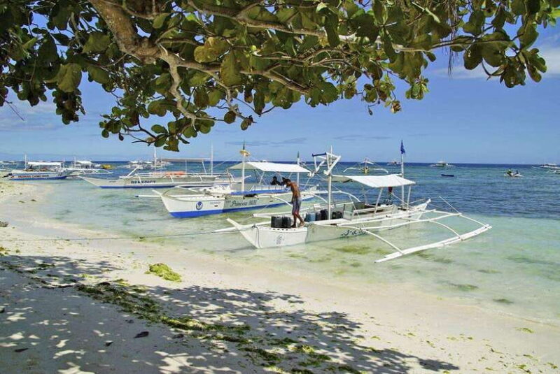 Bohol Balicasag Is Private Tour and Dolphin Watching - What Travelers Are Saying