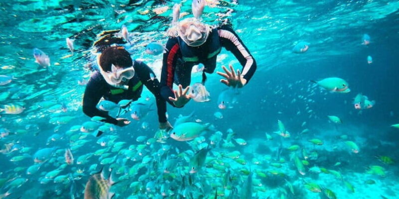 Bohol: Balicasag Private Island Hopping Tour - Key Points