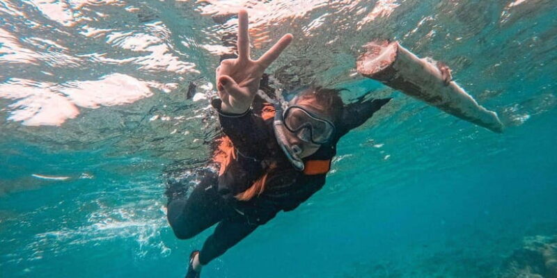 Bohol: Balicasag Private Island Hopping Tour - Final Thoughts