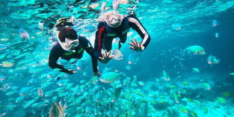 Bohol: Balicasag Private Island Hopping Tour - FAQ