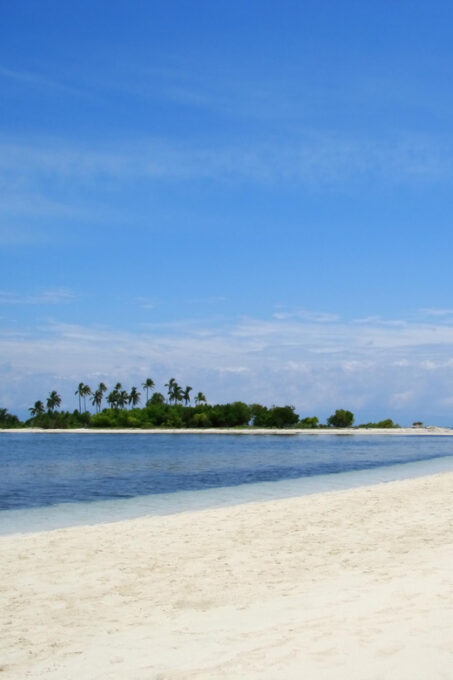 Bohol: Boat Tour With Snorkeling, Dolphin, Turtles & Lunch - Additional Transportation Options