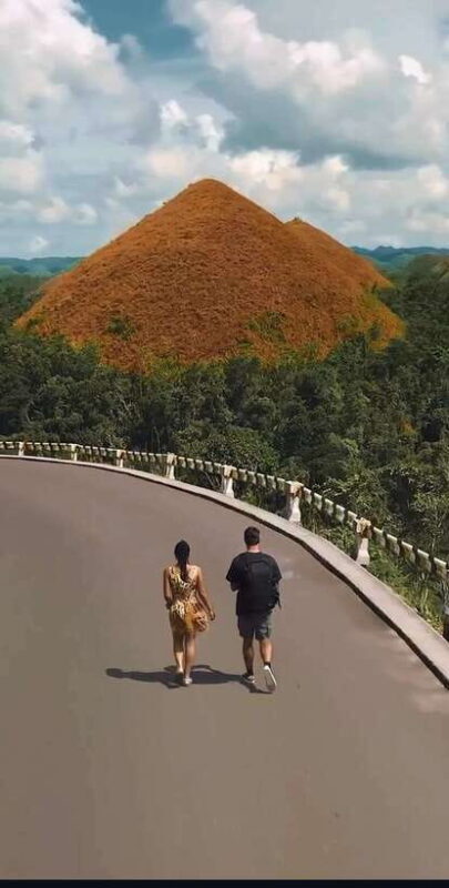 Bohol: Budget Chocolate Hills & Tarsiers -Backpacker Special - Transportation and Timing