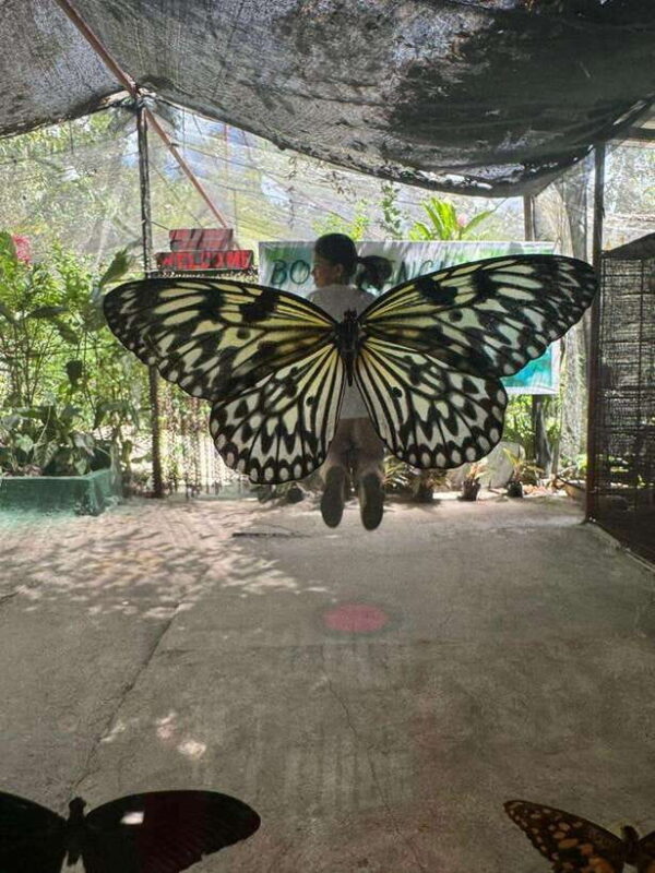 Bohol: Budgeted Countryside with Buffet Lunch Private Tour - FAQs