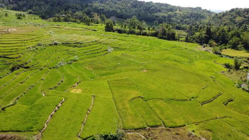 Bohol Candijay Rice Terraces, Water Falls & Anda Beach - FAQ