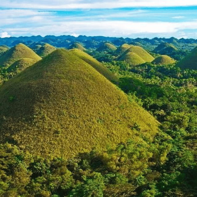 Bohol: Choco Tour + Loboc River Lunch Buffet + ATV Adventure - The Bilar Forest: A Brief but Beautiful Drive