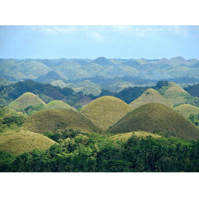 Bohol: Choco Tour + Rio Verde Lunch Buffet - Who Is This Tour Best For?
