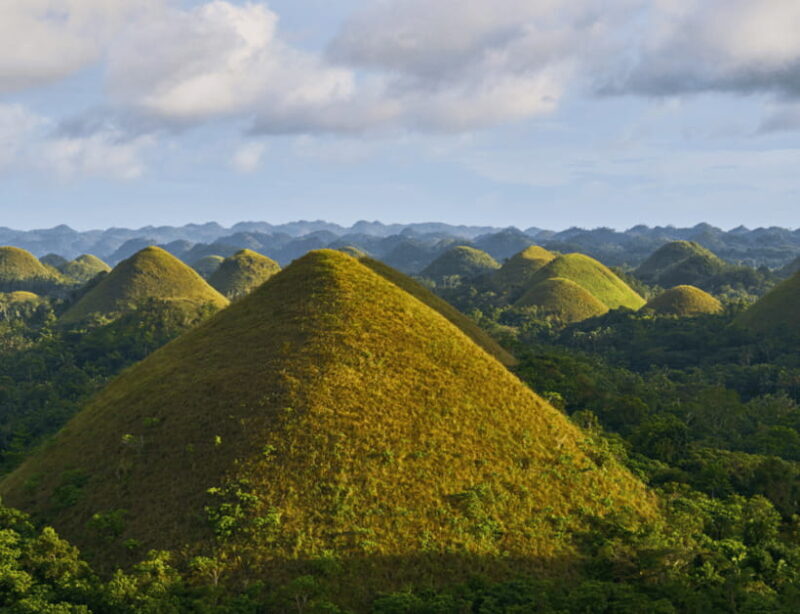 Bohol: Choco Tour & Tarsiers with Lunch - Practical Tips for Your Day