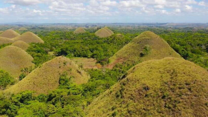 Bohol: Chocolate Hills, Loboc River Cruise, and Buffet Lunch - A Close Look at the Tour