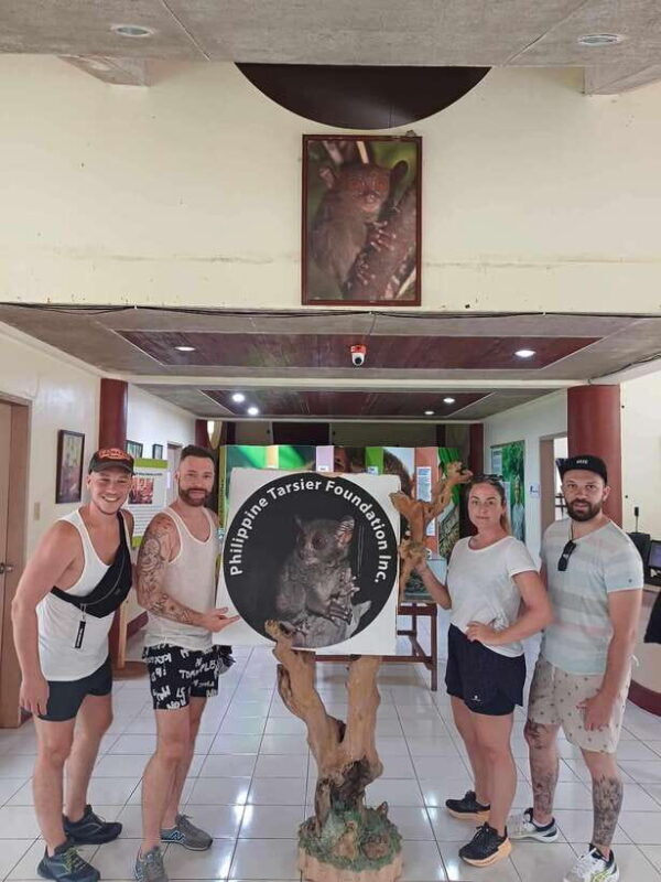 Bohol Chocolate hills Private Tour - An In-Depth Look at the Bohol Chocolate Hills Private Tour
