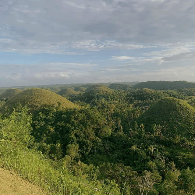 Bohol Chocolate Hills Tour with Loboc River Lunch Buffet - FAQ about the Bohol Chocolate Hills Tour with Loboc River Lunch Buffet  