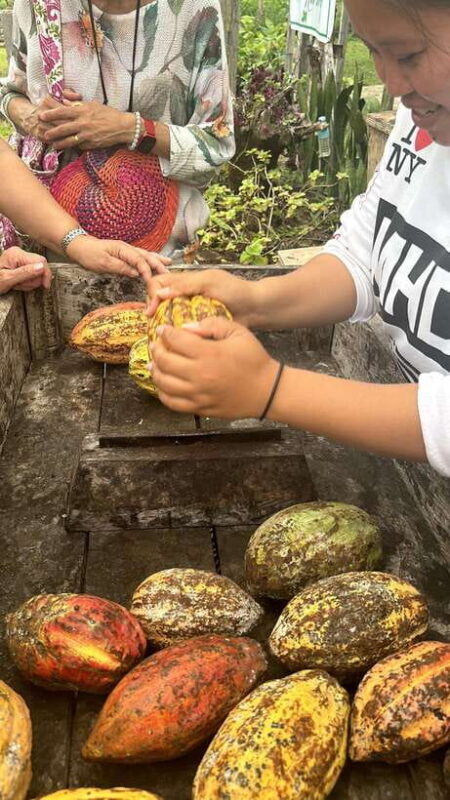 Bohol Chocolate Making and Farm Tour - Key Points