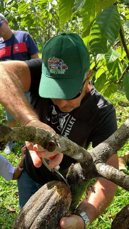 Bohol Chocolate Making and Farm Tour - A Closer Look at the Bohol Chocolate Farm Tour