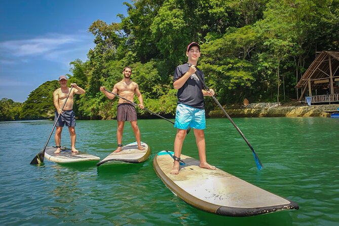 Bohol Countryside Tour: Chocolate Hills, Tarsier and Loboc River - Adventures on Loboc River