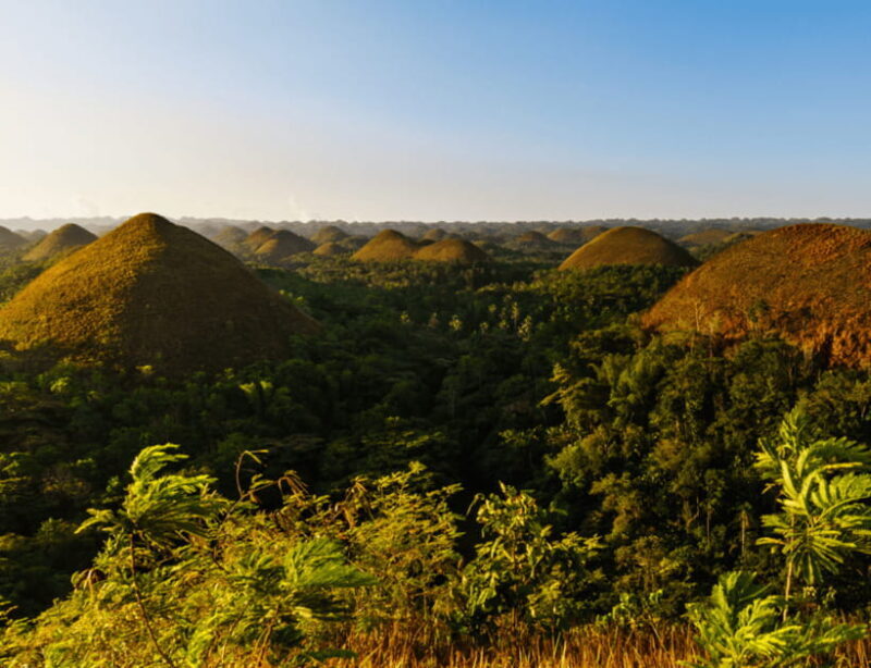 Bohol: Countryside Tour with Tarsiers and Chocolate Hills - Price & Value Analysis