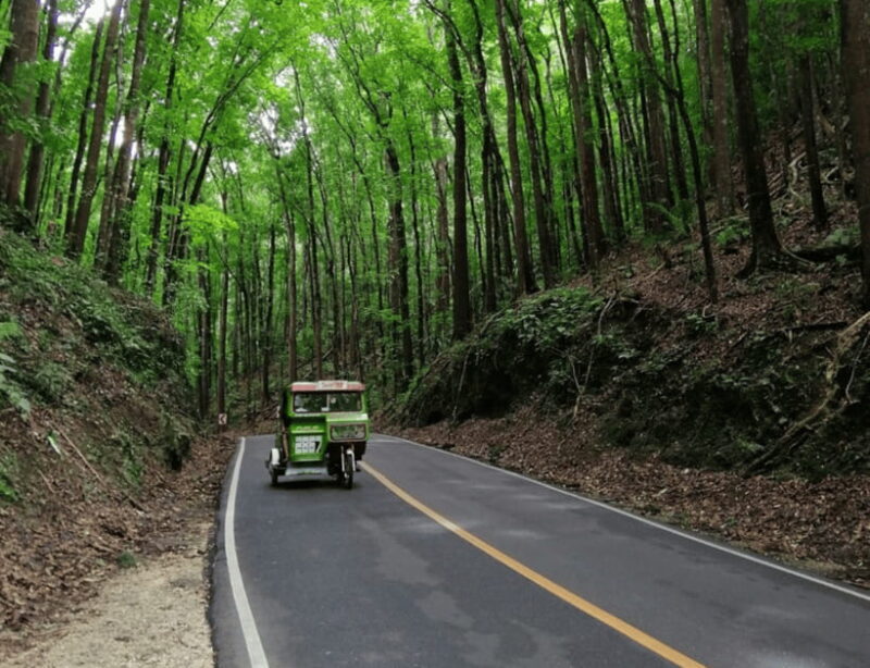Bohol: Countryside Tour with Tarsiers and Chocolate Hills - FAQ