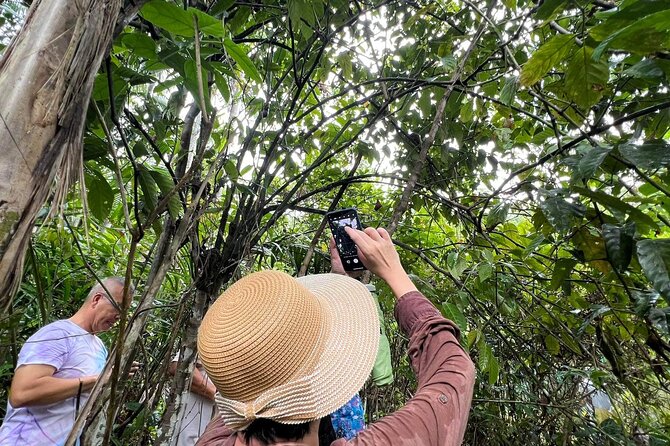 Bohol Day Tour With Round-Trip Transfers From Cebu - Chocolate Hills: Geological Wonders